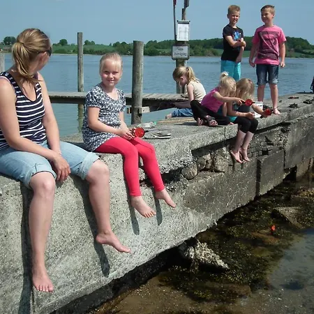 营地 Sandskaer Strandcamping & Cottages *